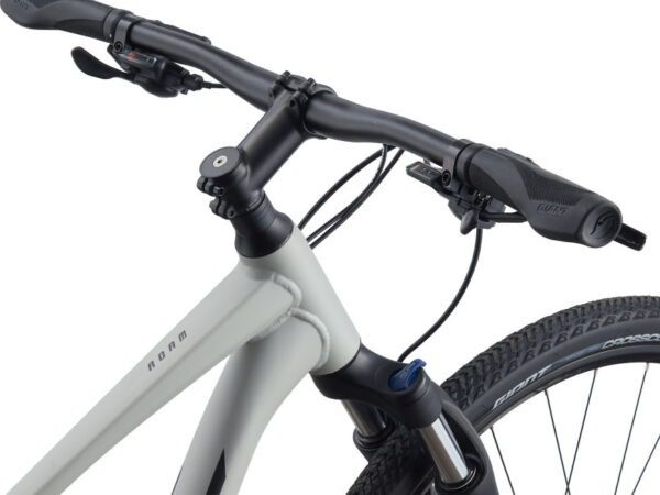 دوچرخه کوهستان جاینت مدل (۲۰۲۱) Roam 3 Disc