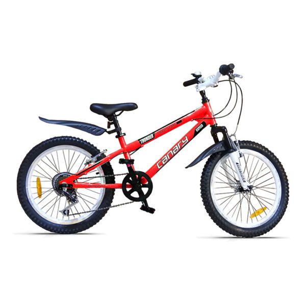 دوچرخه بچه‌گانه قناری مدل فری استایل تاندر - بازرگانی اسماعیلی (www.esmeilitrading.com)