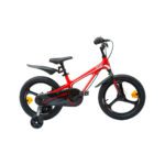دوچرخه-بچهگانه-قناری-مدل-moon - بازرگانی اسماعیلی (www.esmeilitrading.com)