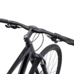 دوچرخه شهری جاینت مدل (2022) 2 Roam Disc - بازرگانی اسماعیلی (www.esmeilitrading.com)