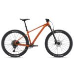 دوچرخه کوهستان جاینت مدل Fathom 29 1 - بازرگانی اسماعیلی (www.esmeilitrading.com)