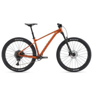 دوچرخه کوهستان جاینت مدل Fathom 29 1 - بازرگانی اسماعیلی (www.esmeilitrading.com)