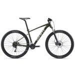 دوچرخه کوهستان جاینت مدل (Talon 2 29 (2022 - بازرگانی اسماعیلی (www.esmeilitrading.com)